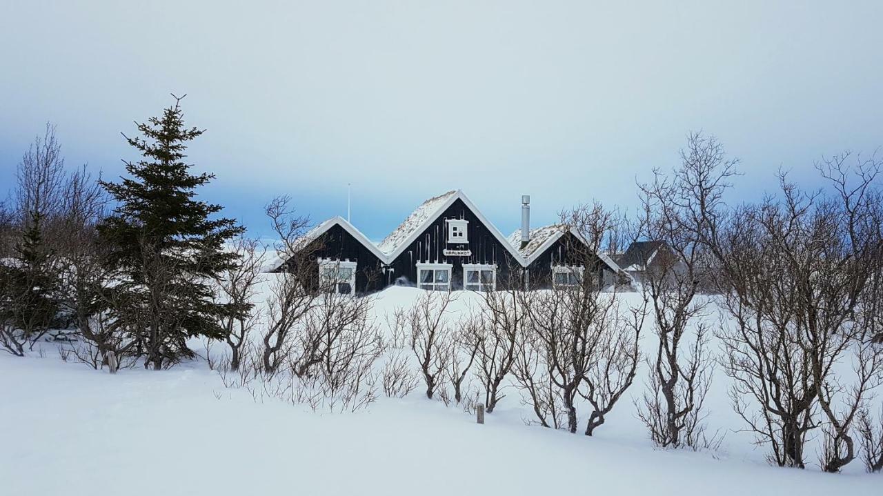 Þingvellir Golden Circle Cottage Veithilundur Экстерьер фото